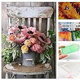 💗 💗 💗 (Liеfеrzеit 7-15 Tagе),Brand name:ToDIDAF,5D DIAMOND PAINTING FULL SET - Diamant Art Kits für Erwachsene Kinder, Anfänger Diamantmalerei malen nach Zahlen für Erwachsene, Full Drill Diamantmalerei Kits für Erwachsene, Diamant Malerei Kits ist eine einfache und unterhaltsame Aktivität für Handwerker jung und alt.