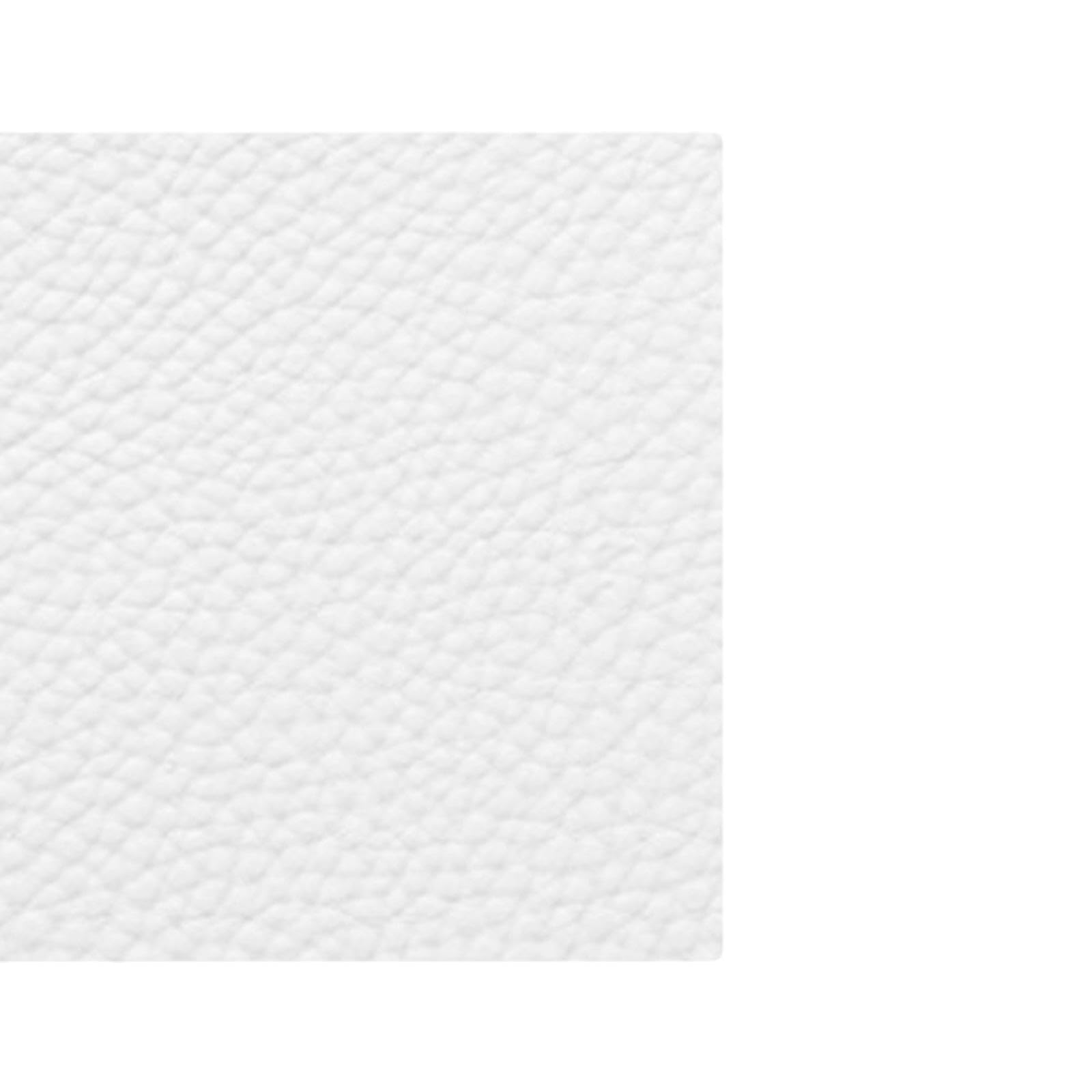 SECRET DESIRE Pu Leather Repair Patches Pu Leather Repair Kit for Sofa Hand Bags Furniture White
