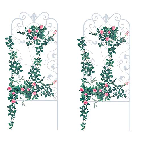 Garden Trellis for Climbing Plants, 2 Pack, 60x24" Rustproof White Iron Potted Vines