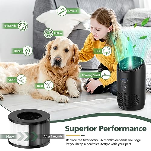 Image of BS-03 HEPA Replacement Filter Compatible with PARTU and Slevoo BS-03 HEPA Air Purifier with 3-in-1 Filtration System, 1 Pack