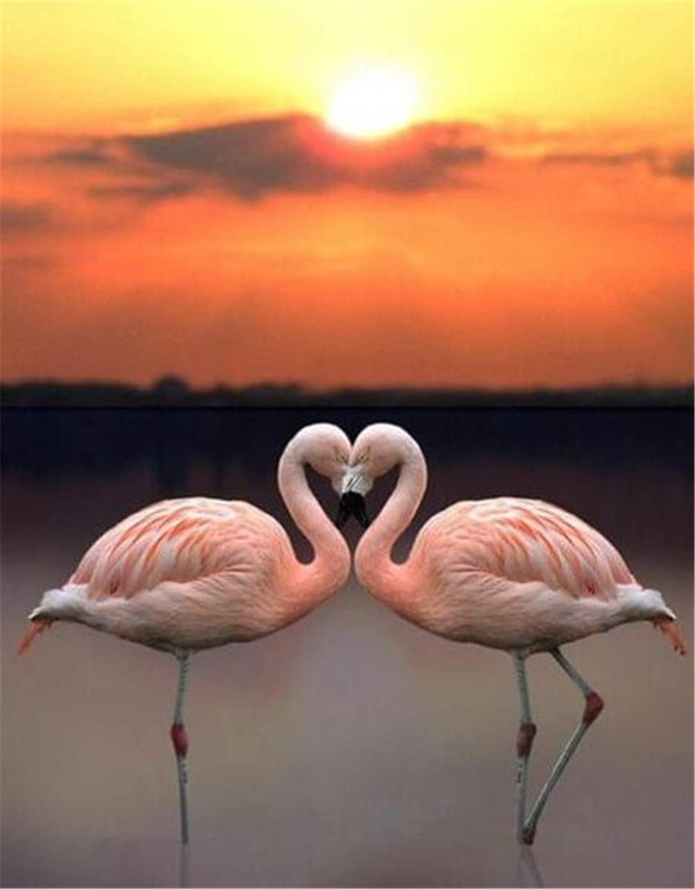 Kit Peinture Diamant 5D Flamingo 50x70cm pour Décoration Salon