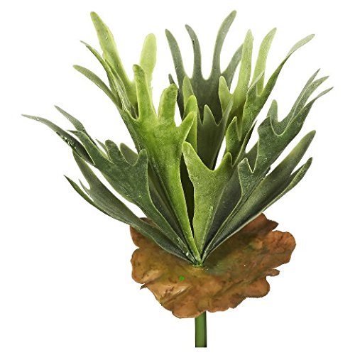 Angel Isabella Faux Staghorn Fern Bush Frosted Green Foliage