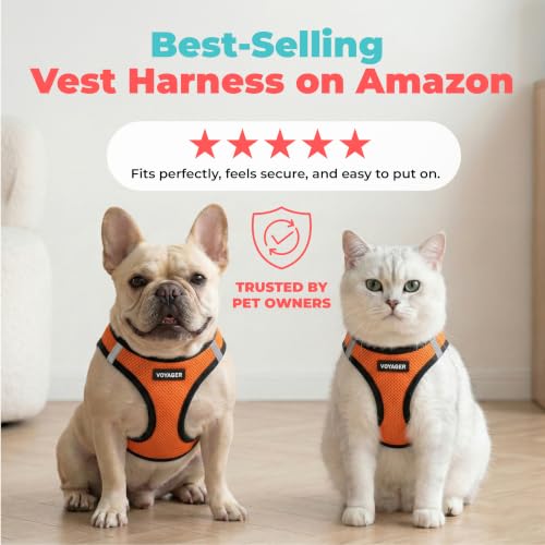 Image of Voyager Step-in Air Dog Vest Harness - Orange /Black Trim, X-Large | 20.5 - 23 inch in Chest, Reflective Bands, All Weather Breathable Air Mesh, Cats Compatible, Lightweight, Fast Drying