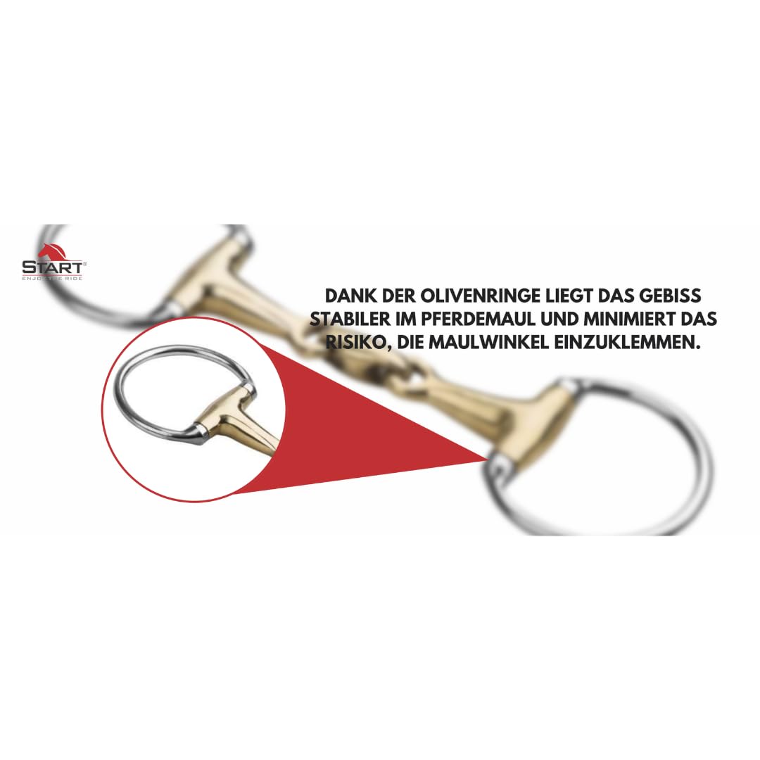 Start Olivenkopfgebiss 16 mm anatomisch & doppelt gebrochen aus Neusilber – maulfreundlich, gleichmäßiger Druck, sanfte Kommunikation zwischen Reiter & Pferd (11,5)