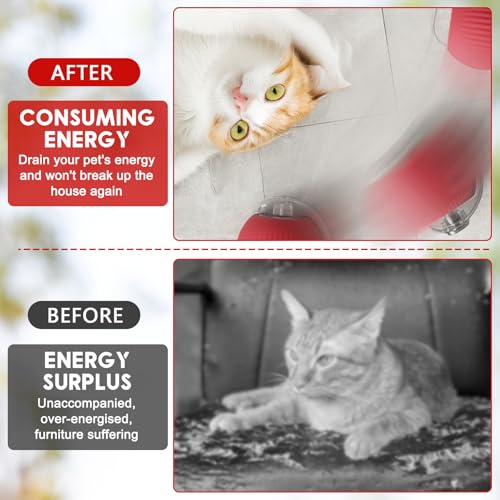 BOBASH 2 Stück Interaktives Katzenspielzeug Ball Katzenball Spielzeug Elektrisch 360° Rolling Ball Hund Hundespielzeug mit USB für Katzen Hunde