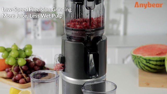 Anybear Cold Press Juicer with 4.9