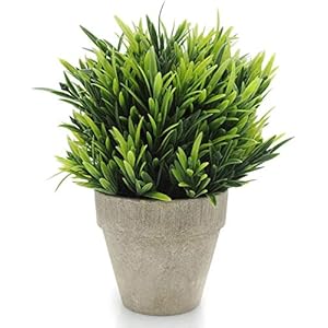 Velener Artificial Grass Potted Plant – Emerald Green Home Decor, Pumpkin Topiary Outdoor & Indoor Fall Plants Home Decor Accents, Coastal Kitchen, Countertops, Classroom, Farmhouse Christmas Decor