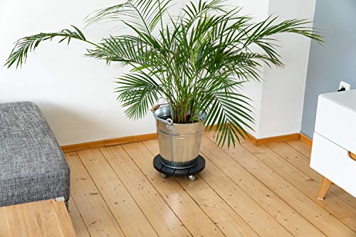 HRB WPC plantenroller, weerbestendig, 80 kg draagkracht, rolplank, planten, bloempotonderzetter voor binnen en buiten… - Afbeelding 7