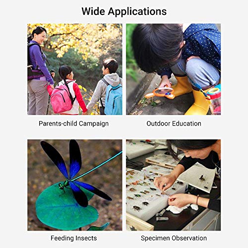Caixa de inspeção de insetos com ampliações 2.6X e 4.5X Microscópio coletor e visualizador de inseto