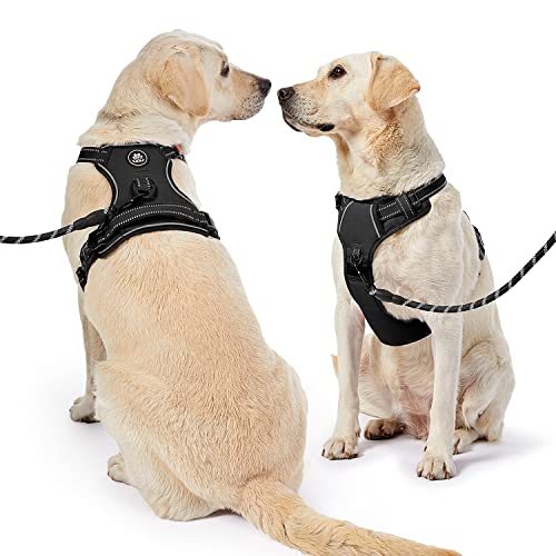 NESTROAD Black No Pull Dog Harness and Lead Set for Medium Large Dogs Size L Escape Proof Dog Vest Harness of Neck 15~19" Chest 19~29" - Image 2