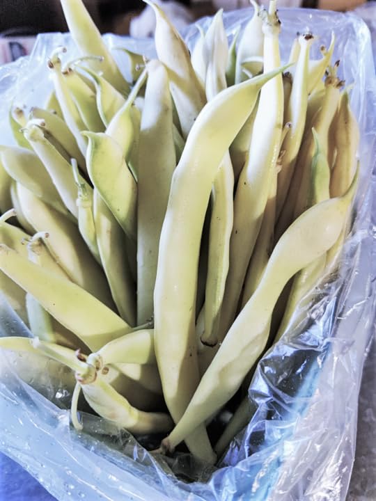 Amazon.com : TomorrowSeeds - Bai Bu Lao Romano Bean (Pole