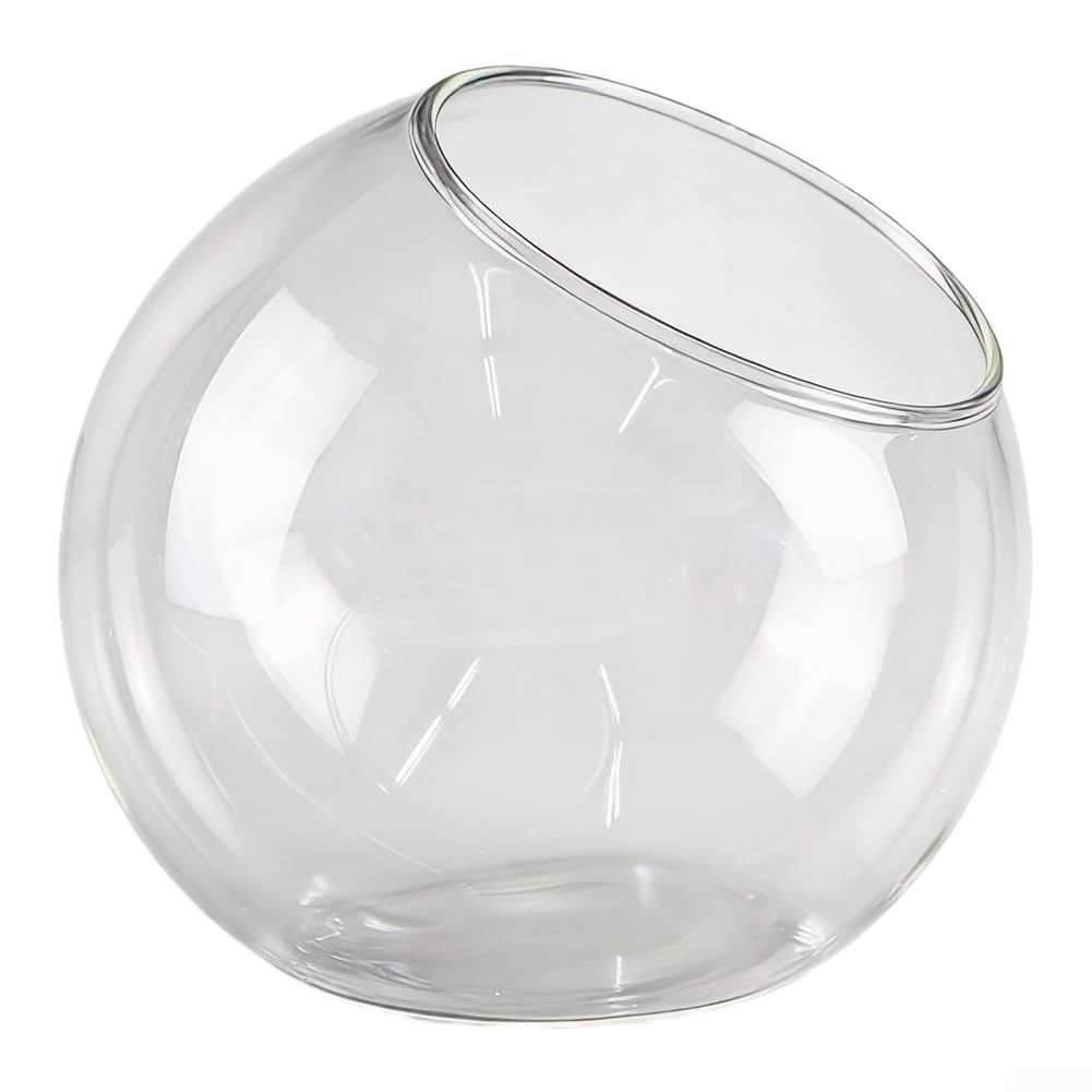 Terrarium en verre de haute qualité de 16cm pour accents décoratifs