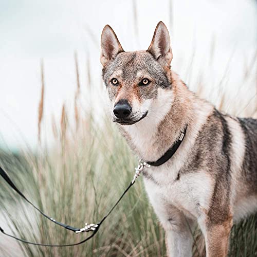 PetTec Hundeleine 2m Führleine für Hunde bis 60kg, leichte Trainingsleine/Ausbildungsleine/Trekkingleine verstellbar aus TRIOFLEX (ähnl. Biothane), wasserabweisend, Dog Lead (Schwarz)