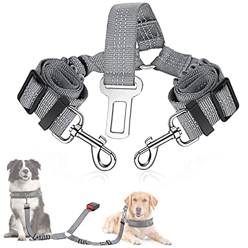 SlowTon Cinturón de Seguridad Coche Perro, 2 Perros sin enredo Cinturón de Seguridad elástico Duradero para el Coche, Ajustable Reflectante Seguro Doble Perro Coche arnés Divisor para Viajar