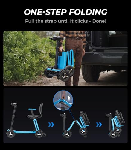 Electric Personal Transport Scooter