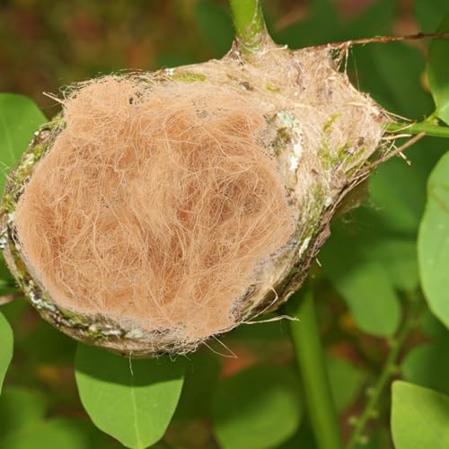 Image of Yardwe 1bag Natural Bird Nesting Material Indoor DIY Bird Nest Supplies Raffia Grass for Parrots Hummingbirds Wild Birds for Bird House Cage Nesting