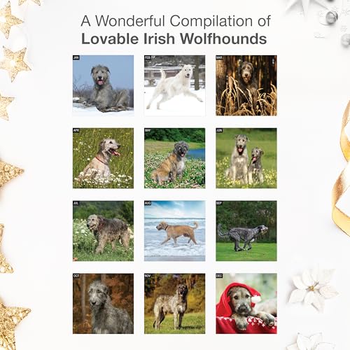 Image of RED EMBER Irish Wolfhounds 2026 Wall Calendar 12 Month | 12 inch x 24 inch Open | Thick & Sturdy Paper | Giftable | Cute Puppy Dog Calendar 2026