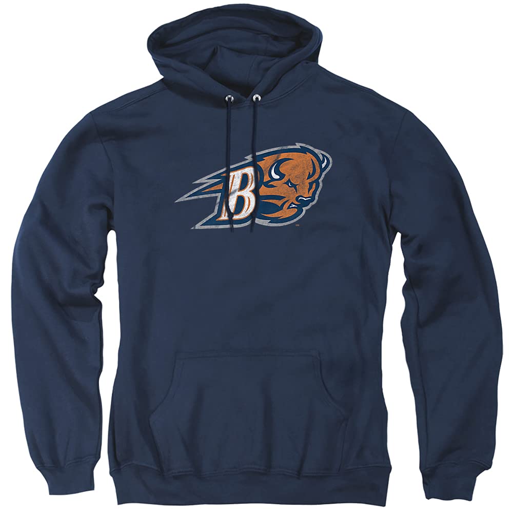 LOGOVISION Official Collegiate Distressed Primary Logo Adult Pullover Hoodie Collection — view 80