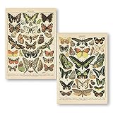 2 Pack Vintage Butterfly Poster, Retro Style Canvas Wall Decor Art Painting,Without Fading(11" x14")