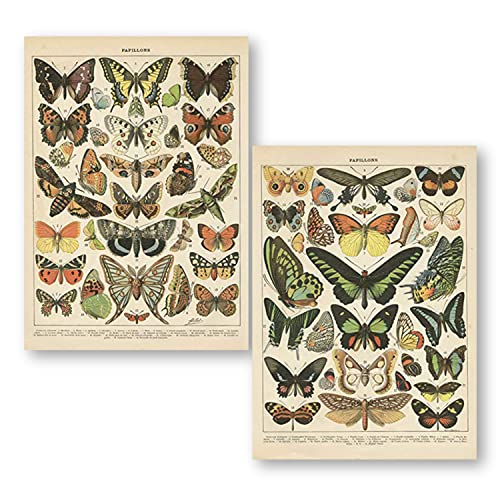 2 Pack Vintage Butterfly Poster, Retro Style Canvas Wall Decor Art Painting,Without Fading(11" X14") #TOP30