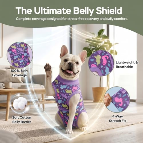 Image of PetWarm Post Neuter Surgery Suit for Dogs, Dog Coat's Inner Clothes, Substitute E-Collar and Cone, Dog Onesies Pet Surgery Recovery Suit for Dogs, Dinosaur Pattern, Purple, XL