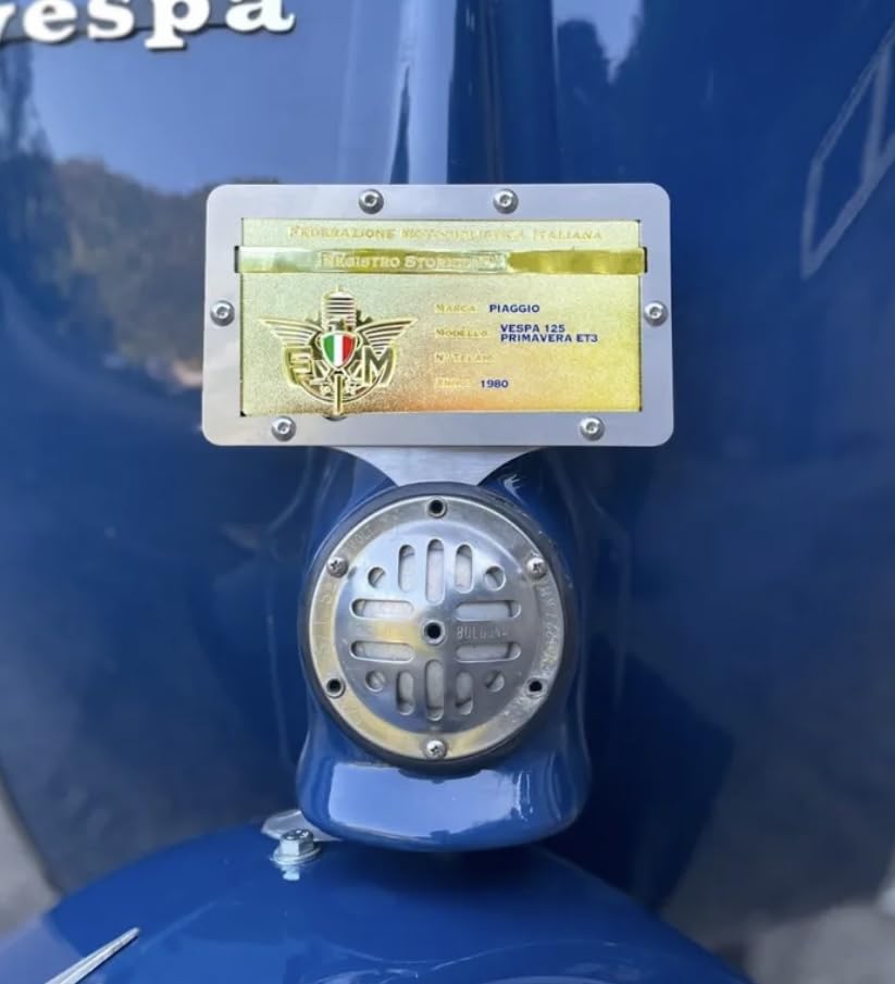 DIMENSIONI OTTIMALI: Progettato specificamente per le dimensioni standard delle targhe oro FMI, con bordi sagomati per una presentazione elegante