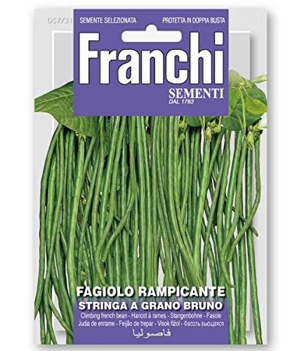 FAGIOLO RAMPICANTE STRINGA A GRANO BRUNO 100 GR