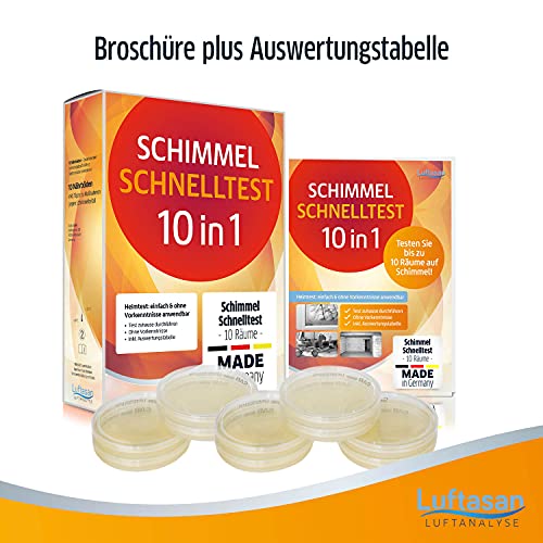 Schimmeltest Luftasan für bis zu 10 Räume und Schnelltest