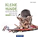 Kleine Hunde richtig beschäftigen: Spiele und Tricks für jeden Tag