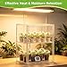 2-Tier Mini Greenhouse Indoor, Clear Stackable Tabletop Greenhouse with Magnetic Door,Small Greenhouse for Garden Plant Seed Starting,Home&Garden,1 Pack