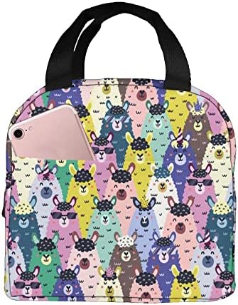 EVESKY Suspicious Alpaca Lunch Box Reusable Lunch Bag Cartoon Color Tote Bag With Front Pocket For Women/Men Work School Girl Boy Picnic Travel