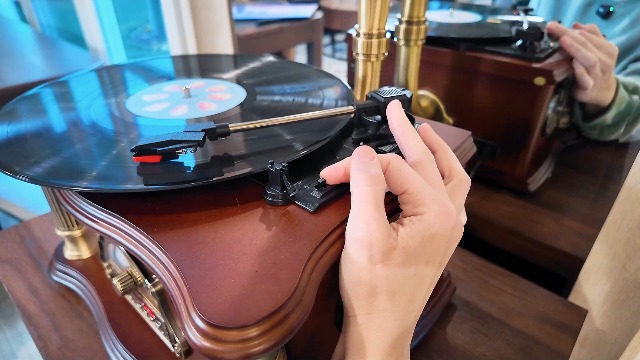 Amazon.com: HZLSBL Vintage Gramophone with Bluetooth Input Vintage