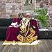 Produktbild Harry Potter Decke 160 x 200 cm XXL Kinderdecke · große kuschelige Flauschdecke Tagesdecke Kuscheldecke mit Quidditch Motiv · Gryffindor Flauschdecke Fleecedecke