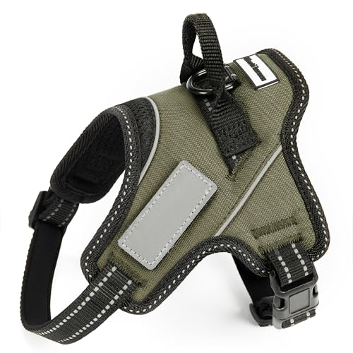 yhbOg[i[EIzLiberte harness  n[lX AɗD l[v[g hbOn[lX (STCY, _[NO[)