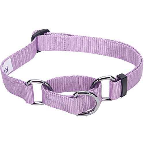 Blueberry Pet Essentials Safety Training Martingale Dog Collar, Lavender, Large, Heavy Duty Nylon Adjustable Collars for Boy and Girl Dogs