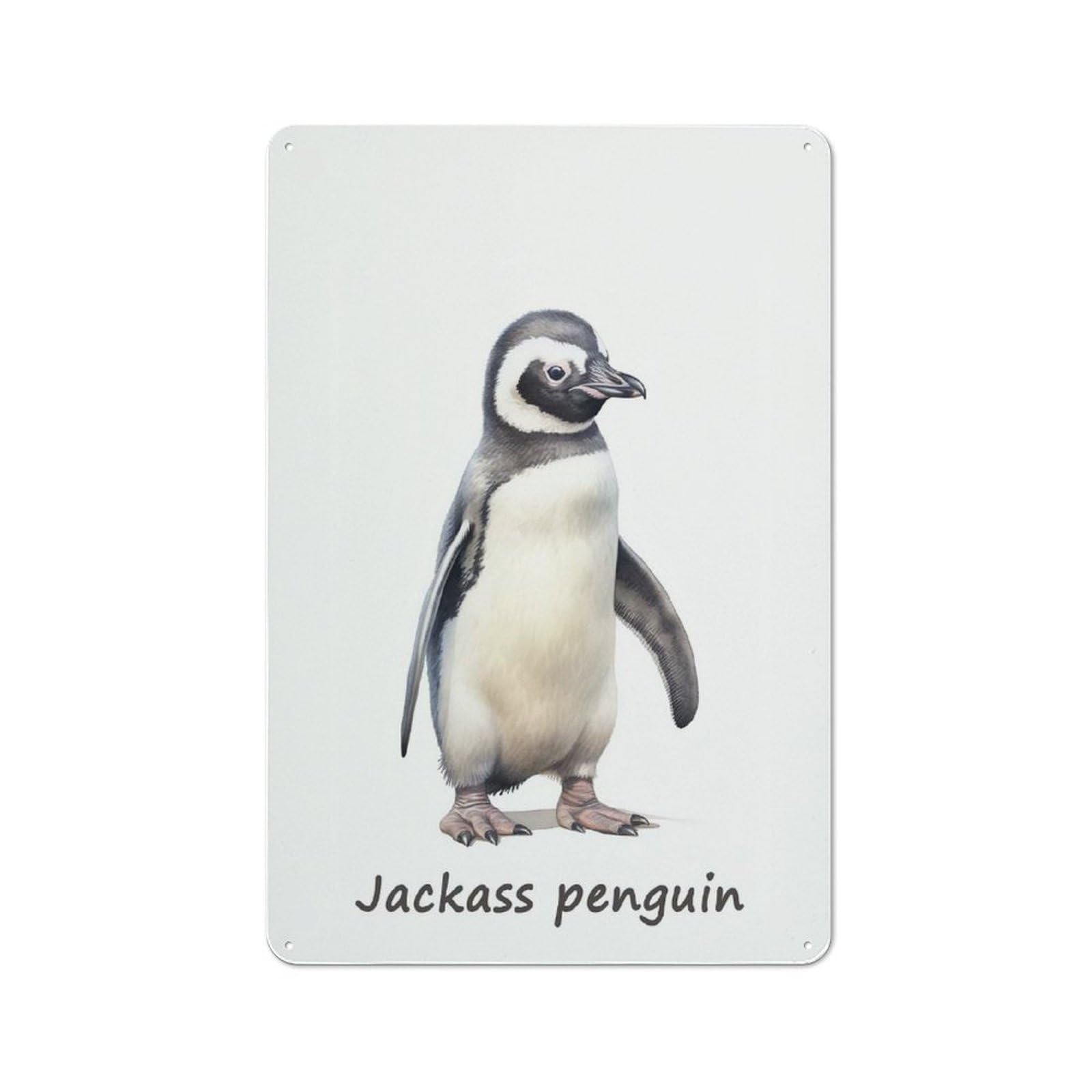 Junmoney Jackass Penguin Safari Smart Decorative Metal Sign 30X20cm, Studio Wall Plaque For Hobby Room, Office, Lounge Or Living Room