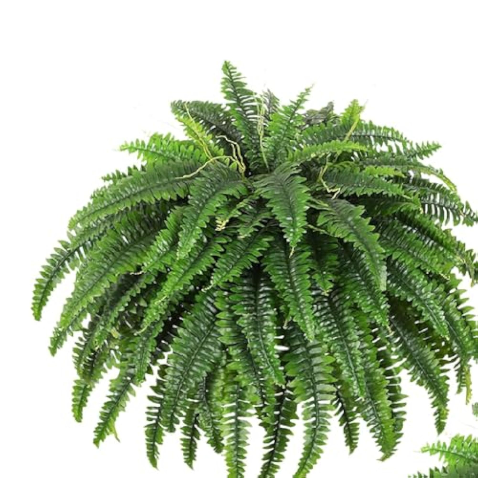 Artificial Plant Simulation Fern for Office Garden
