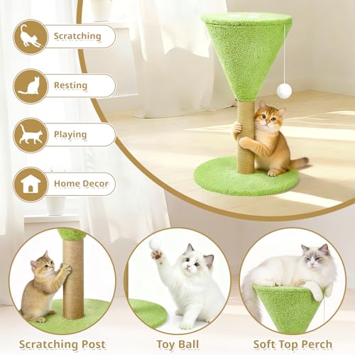 Rascador Martini para Gatos 19.7 in con Juguete y Plataforma Verde miniatura 4