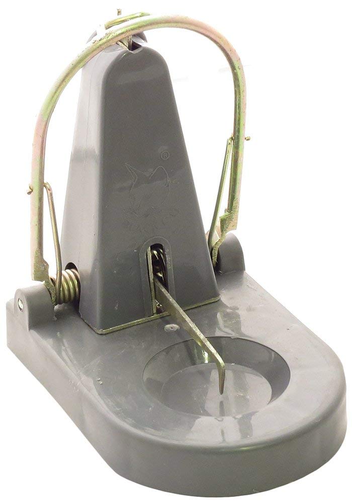 RK SUN Black Cat Rat Trap: Mouse Catch (Grey, 1 Rat Trap)