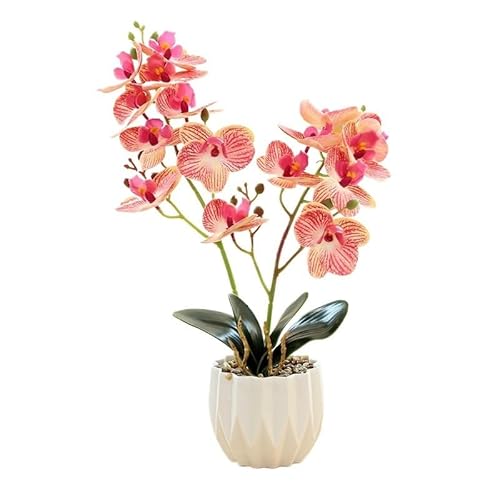 �l�H�Ӓ����~�� - 2�}16�Ԃ̖͋[���A���A�Ƃ̑����p(Color2)