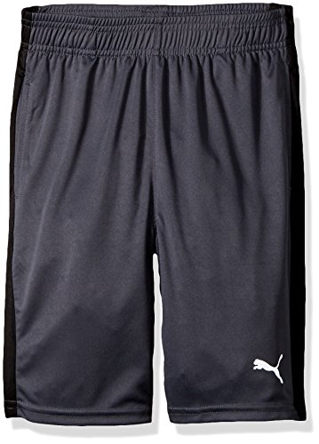 PUMA Big Boy's Puma Boys' Form Stripe Short Shorts, coal, Large
