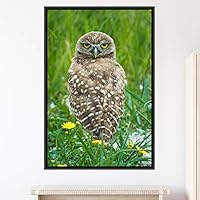 Framed Canvas Wall Art Owl Birds Dramatic Farmhouse/Country Home Office Multicolor Owl Photography - 16x24 inches