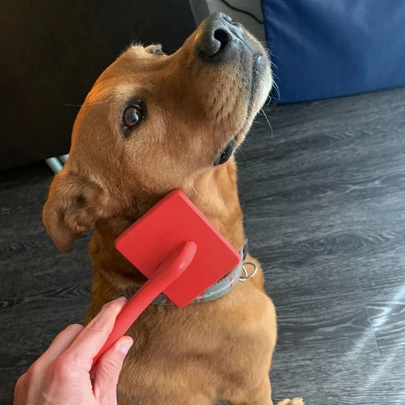 Szczotka dla zwierząt Pet Slicker Brush Miękki masaż Pielęgnacja Szpilki ze stali nierdzewnej Kot Grzebień dla psa Dematting Zrzucanie futrzanego podszerstka Szczotka do sierści dla zwierząt