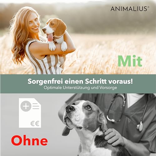 Animalius | Barf Complete Öl für Hunde | Premium Barf Zusatz Futteröl mit Lachs-, Lein-, Hanfsamen-, Nachtkerzen- und Borretschöl - 500ml