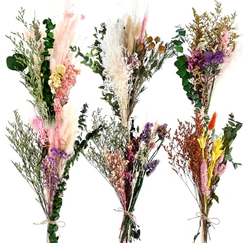 6 Bunches Large Size Dried Flower Bouquet 15 -17 Inch