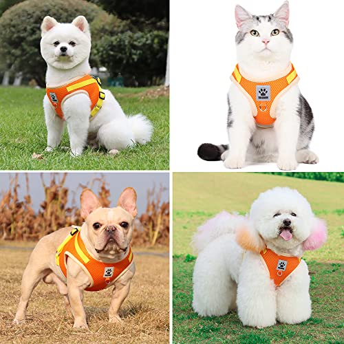 Domkim Escape Proof No Pull Cat Harness And Leash Set For Small Cats/Dogs Walking Outdoor, Easy Control Dog Leash And Collar Set, No Pull Kitten Harness Adjustable(Small, Orange) #TOP4
