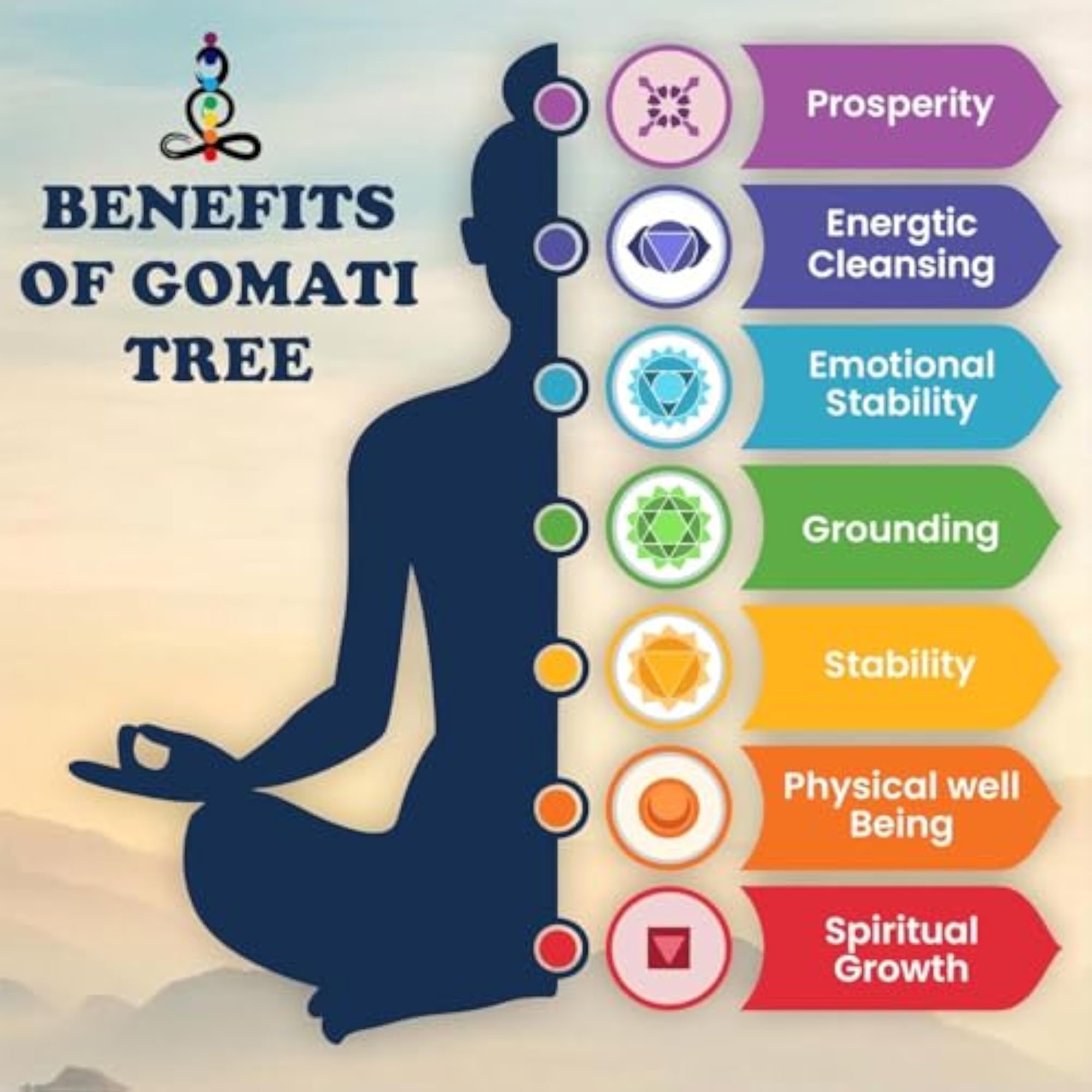 Gomati Chakra with Rudraksha Tree Home Decor Showpiece, Good Luck Item