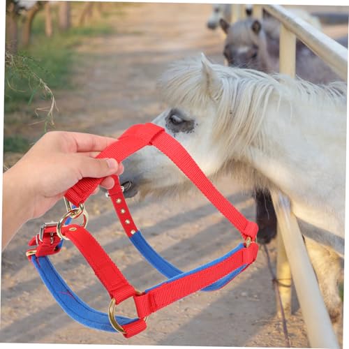 Cabestro ajustable y resistente con cabezada para de entrenamiento vibrante 7
