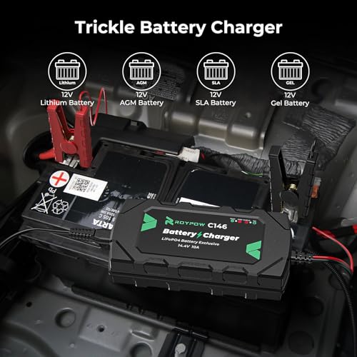 RoyPow Cargador y Mantenedor de LiFePO4 Batería Inteligente Automático de 10A 12V para LiFeP04 & Batería de Plomo Acido - imagen 2