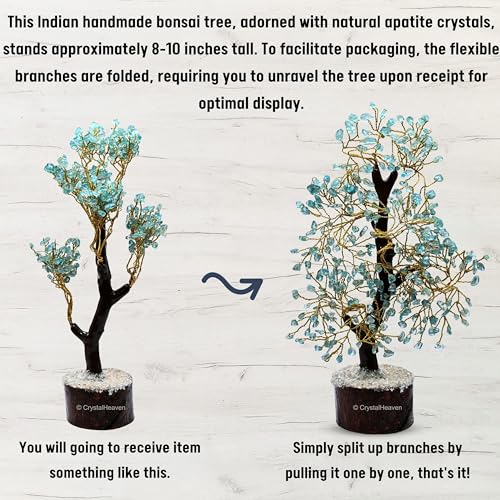 Image of Certified Apatite Crystal Tree for Good Luck - Healing Crystals Money Tree for Wealth, Positive Energy at Home Office - Decorative Spiritual Gifts for Vastu, House Warming